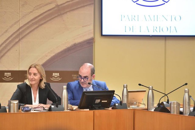 La consejera de Salud, María Somalo, durante su comparecencia en la comisión de presupuestos para explicar las líneas de su departamento