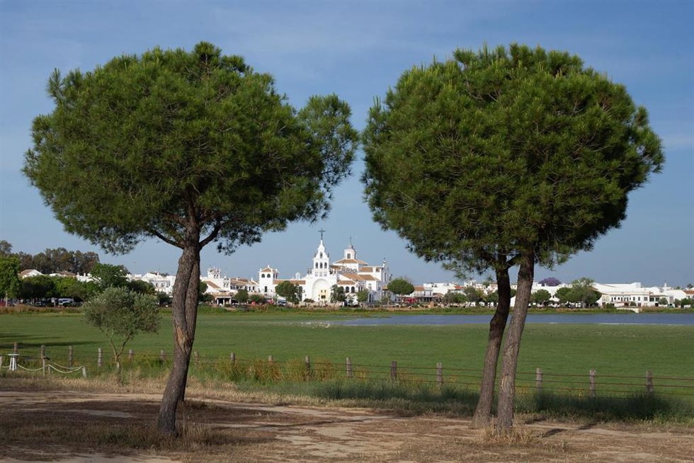 Archivo - Aldea de El Rocío.