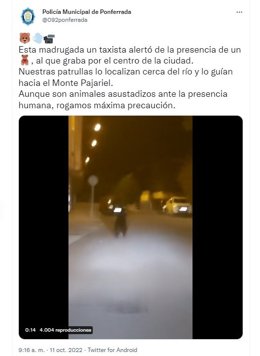Captura del tuit de la Policía Municipal de Ponferrada con el vídeo del oso por las calles de Ponferrada