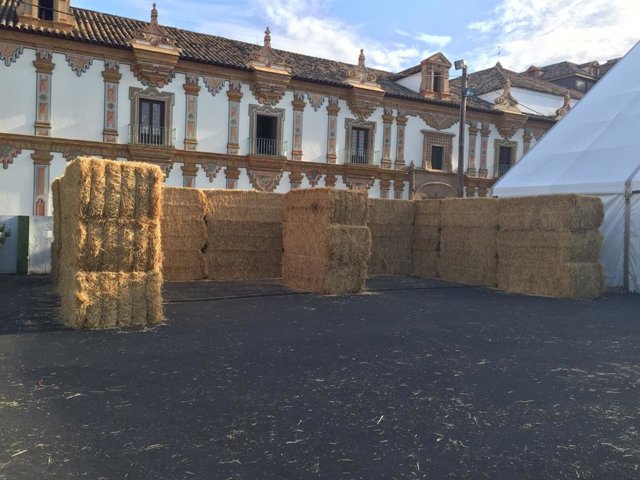 El parking anexo al Palacio de la Merced, además de como estacionamiento de la Diputación, también se usa habitualmente como escenario de ferias organizadas por la institución, como Intercaza.