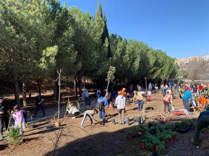 'Arboladas' De Diputación En Municipios Malagueños