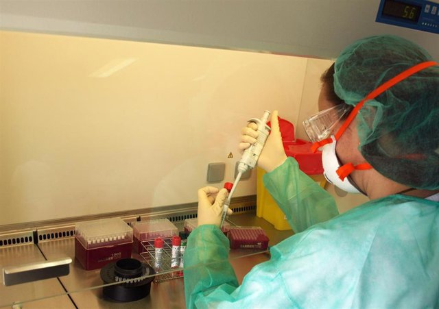 Archivo - Detección del virus de la viruela del mono, foto de archivo