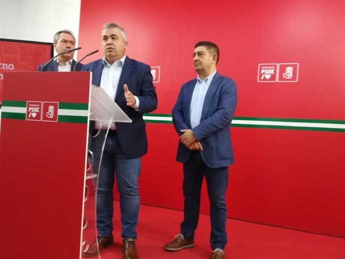 Cerdán durante su intervención ante los medios