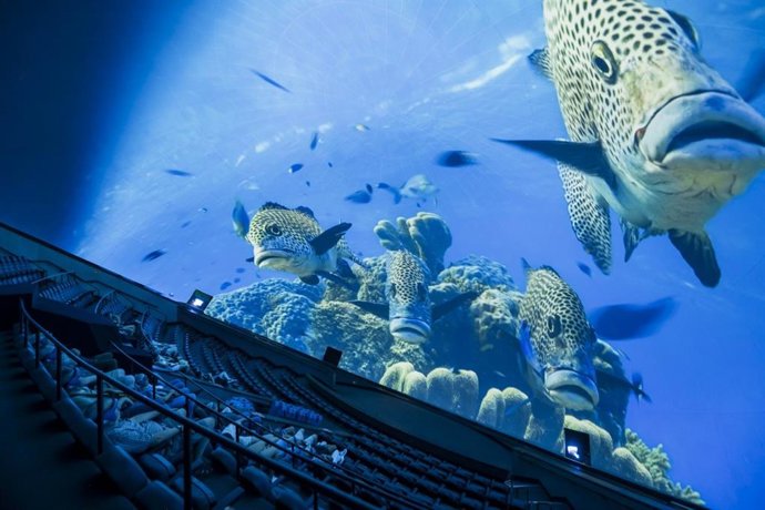 Proyección en el Hemisfric