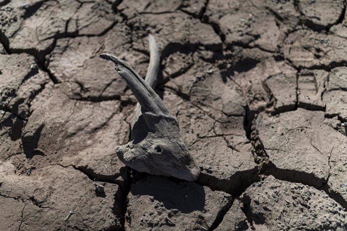 Huesos y grietas con sequía del pantano de Sau, a 3 de octubre de 2022, en Vilanova de Sau, Barcelona, Catalunya (España). El pantano de Sau, con un 30 % aproximadamente de su capacidad debido a la gran sequía, ha dejado al descubierto el antiguo pueblo