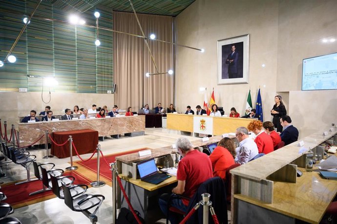 Pleno del Ayuntamiento de Almería.