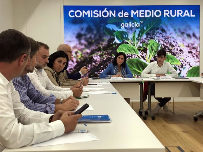 La secretaria xeral del PPdeG, Paula Prado, en la Comisión de Medio Rural.