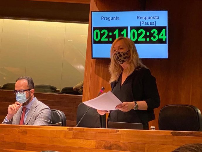 Archivo - Los diputado de Vox en la Junta General Ignacio Blanco y Sara Álvarez Rouco