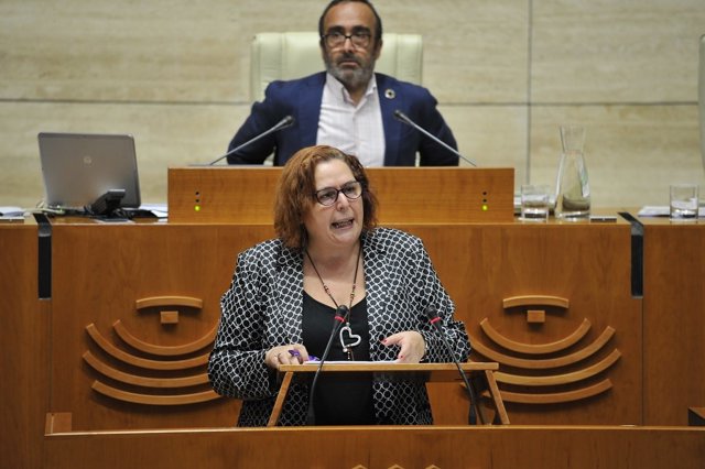 La consejera de Agricultura, Desarrollo Rural, Población y Territorio de la Junta, Begoña García, en la Asamblea para informar sobre política forestal autonómica