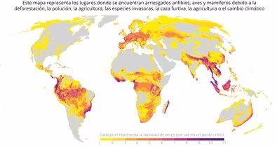 Medio Ambiente