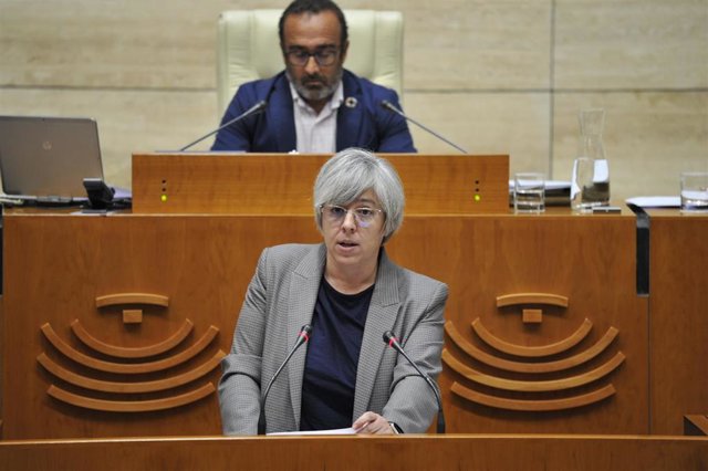 La consejera de Movilidad, Transportes y Vivienda, Leire Iglesias, en la Asamblea.