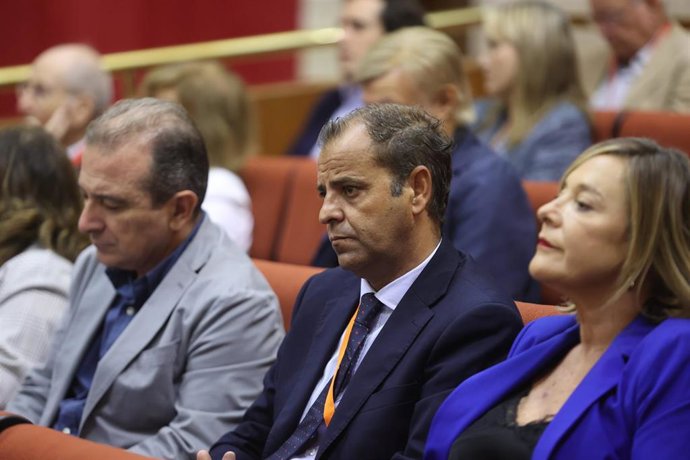El director general de la RTVA, Juan de Dios Mellado, en el Pleno del Parlamento andaluz.