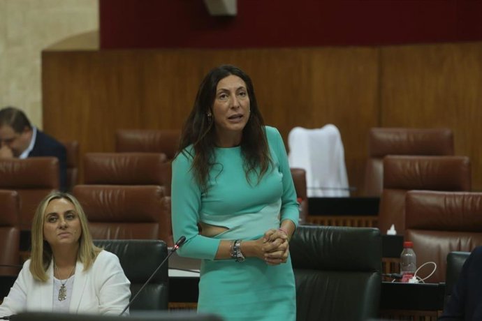 La consejera de Inclusión Social, Juventud, Familias e Igualdad de la Junta de Andalucía, Loles López, en una imagen de archivo 