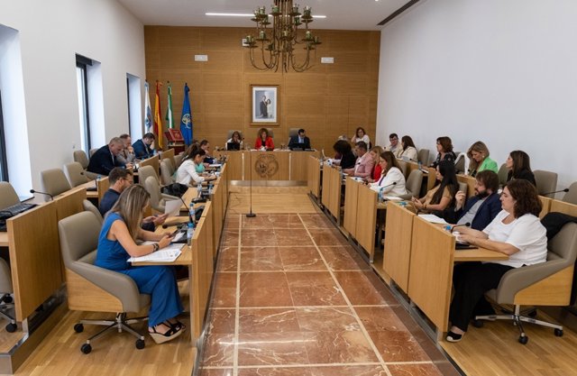 Pleno ordinario de la Diputación correspondiente al mes de octubre.