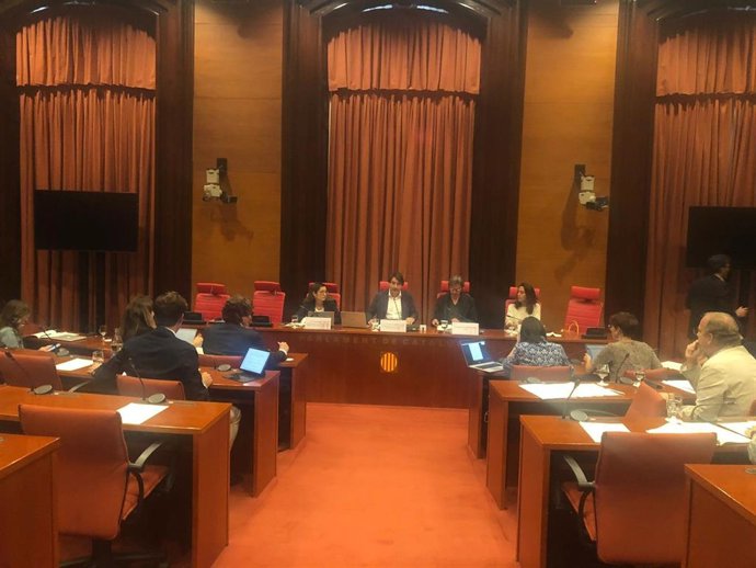 Comisión de Acción Exterior del Parlament el 13 de octubre.