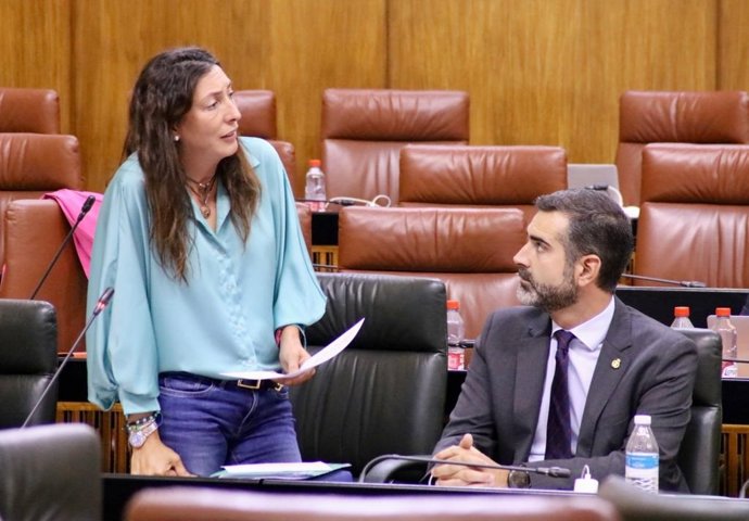 La consejera de Inclusión Social, Juventud, Familias e Igualdad, Loles López, en el Pleno del Parlamento andaluz