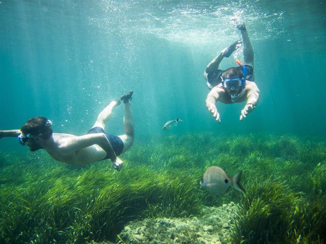 Dos submarinistas descubren el campo de posidonia en el fondo marino de Los Escullos en Níjar (Almería).