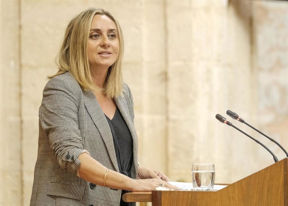 La consejera de Fomento, Marifrán Carazo, este jueves en el Pleno del Parlamento defendiendo el decreto regulador de los VTC.