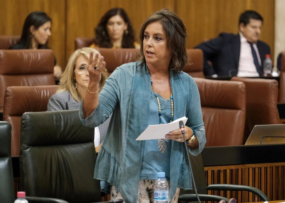 La consejera de Salud y Consumo, Catalina García, en el Pleno del Parlamento andaluz.