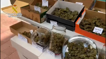 Operación Green Week