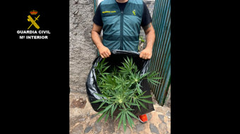 Operación Green Week