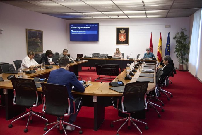 Imagen de la comisión especial de Salud