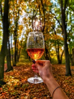 Una copa de vino en un bosque en otoño