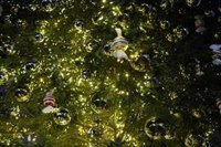 Almeida defiende que el coste de la iluminación navideña en la capital es "perfectamente asumible"