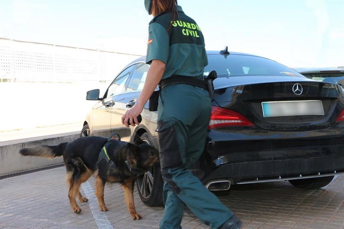 Archivo - Un agente de la Guardia Civil junto a un perro detector de drogas.