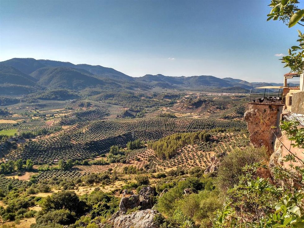 Archivo - Paisaje de olivar de la Sierra de Segura