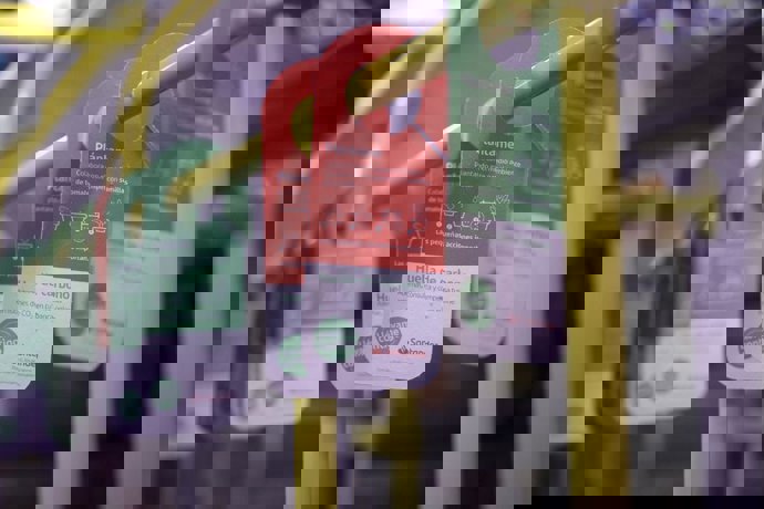 SEMILLAS DE TOMATE Y HIERBABUENA PARA UN MADRID MÁS SOSTENIBLE