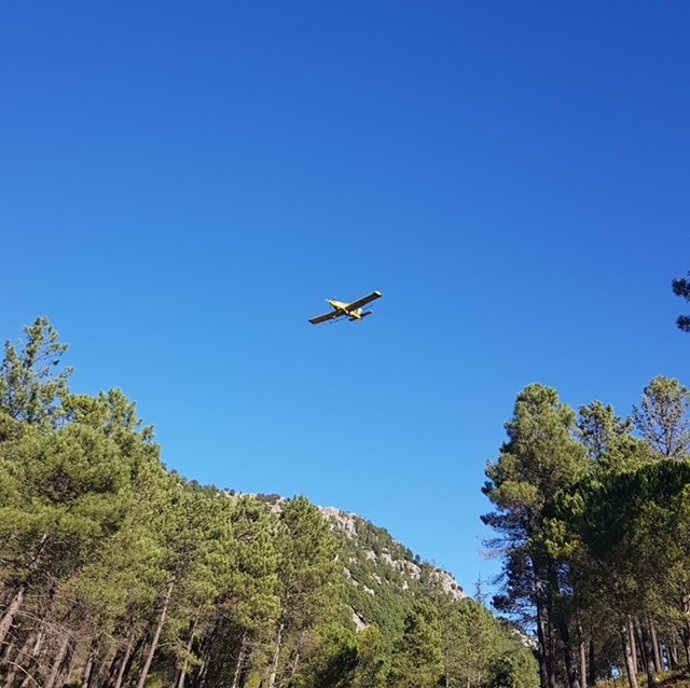 Tratamiento aéreo contra la procesionaria del pino