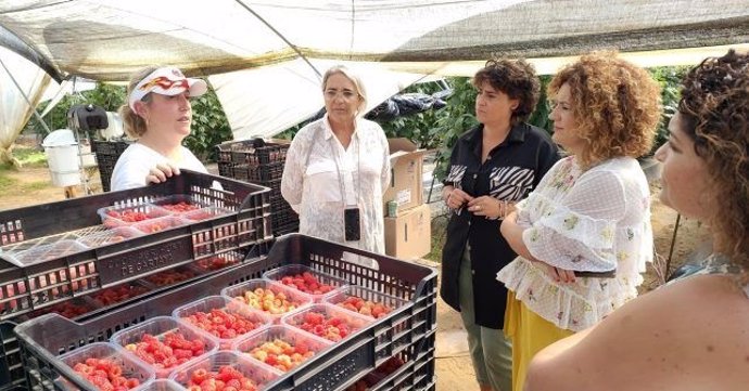 PSOE afirma ser "contundente" para impulsar medidas de igualdad y dignidad para mujeres del mundo rural