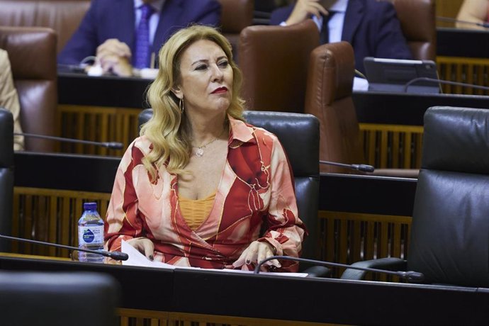 La consejera de Economía y Hacienda, Carolina España, en una imagen de archivo en el Parlamento.