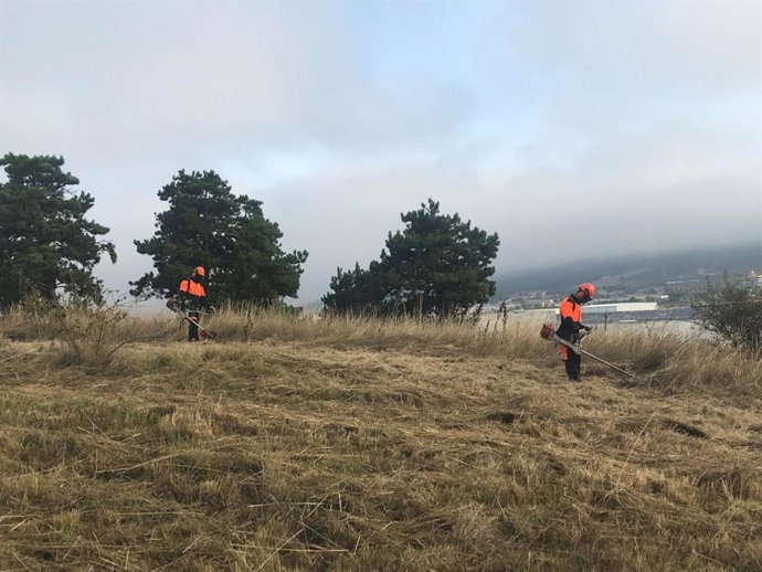 Trabajos en el futuro bosque de absorción del polígono de Agustinos