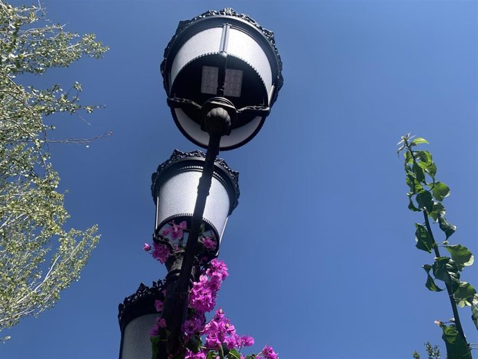La Diputación de Málaga mejora el alumbrado en 18 municipios de la Axarquía con la instalación de luces LED en 2.000 farolas.