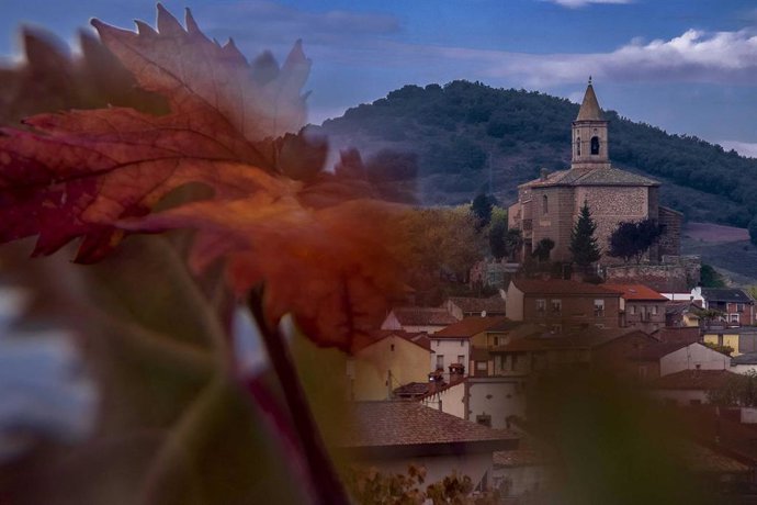 El Ayuntamiento de Ventosa organiza el II Rally Fotográfico, Ventosa entre viñas, que se realizará el 23 de octubre