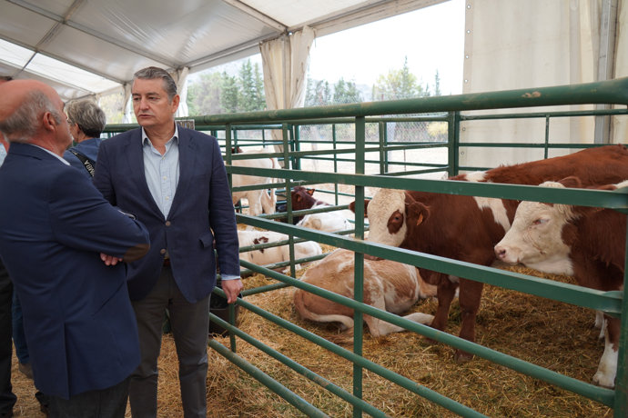 Vídeo de la noticia