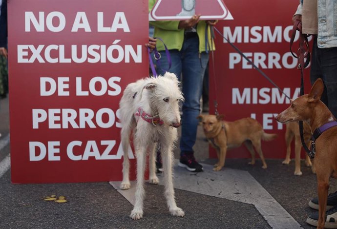 Varios perros durante una protesta contra la enmienda del PSOE de excluir a los perros de caza de la Ley de Protección animal, a 30 de septiembre de 2022, en Madrid (España). Esta es una de las acciones conjuntas que las entidades de protección animal e