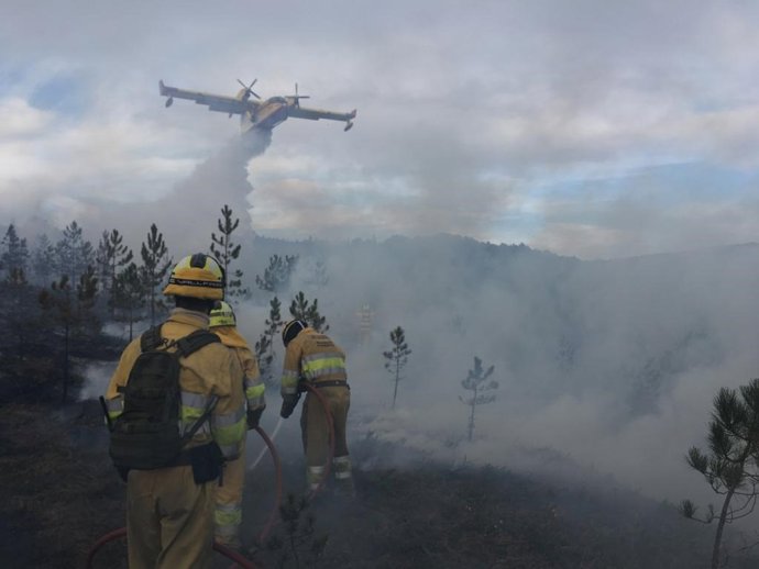 Incendio forestal en Bustasur (Las Rozas de Valdearroyo)