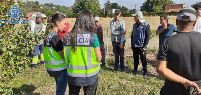 Archivo - Policía Nacional inspecciona 14 explotaciones y detiene a 7 personas por falsedad documental y estancia irregular