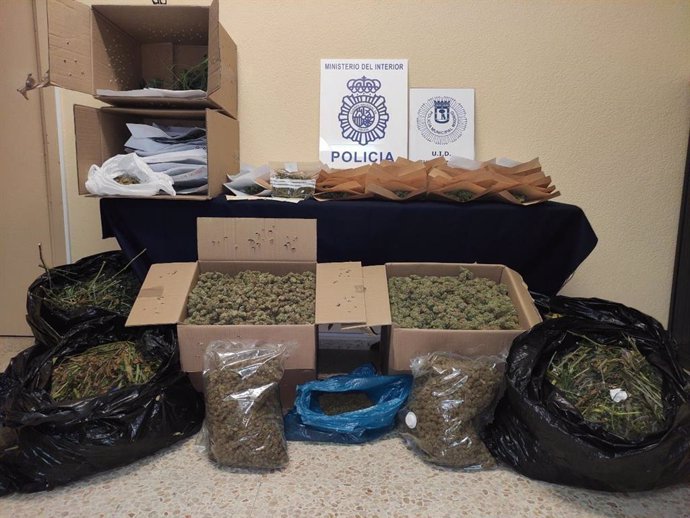 Cuatro detenidos y desmantelada una plantación indoor de marihuana en el distrito de Fuencarral