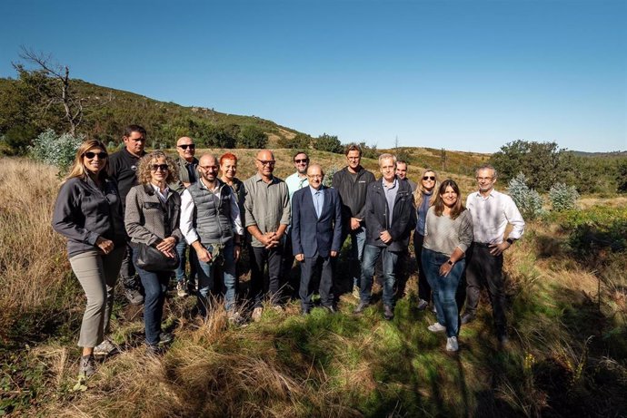 SEPAR y Chiesi plantan 2.500 árboles en Galicia para contribuir a la salud respiratoria y del planeta
