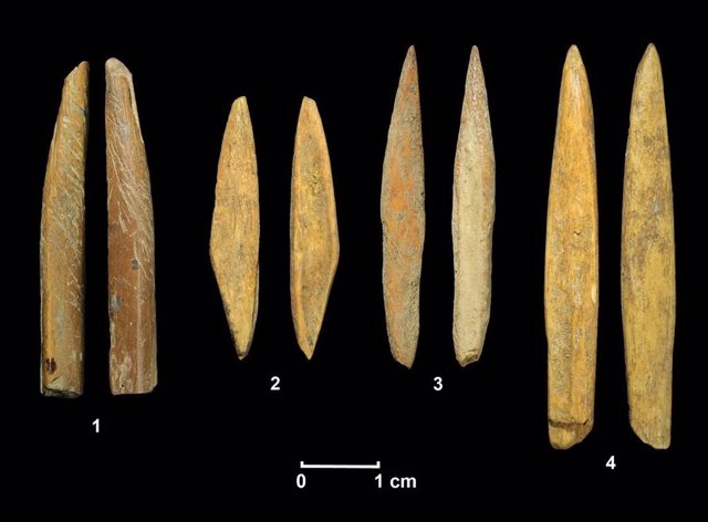 Las Habilidades Con Proyectiles De Piedra Ayudaron A Los Recolectores A Ocupar Las Selvas Tropicales Durante La Migración Del Sur De Asia