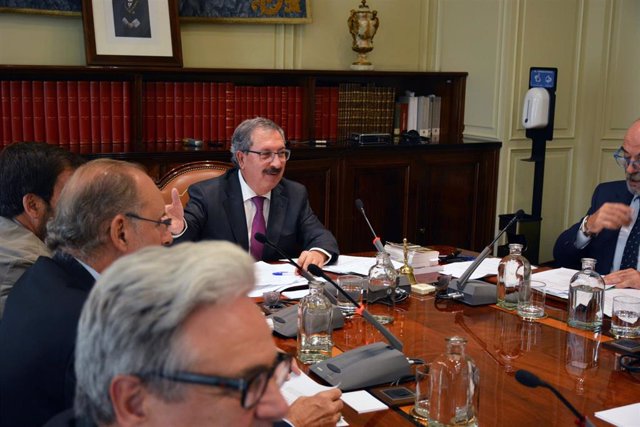 El vocal Rafael Mozo durante un Pleno extraordinario del Consejo General del Poder Judicial (CGPJ).