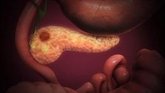 Foto: Científicos identifican la relación entre las mitocondrias y el riesgo de cáncer de páncreas