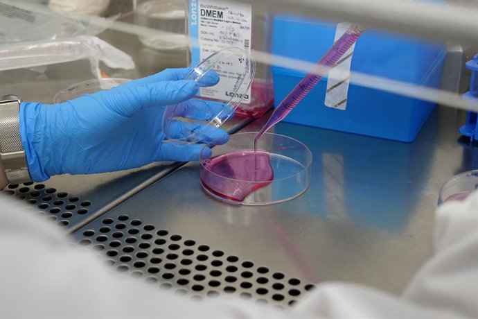 Archivo - La UMA recibe 4,5 millones de euros para diversos proyectos de investigación.