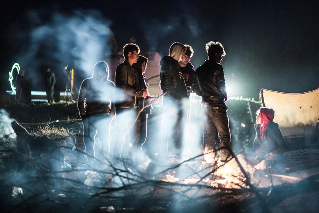 Archivo - Migrantes en un bosque cercano al río Evros