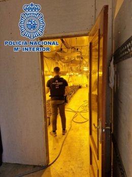 Semirremolque habilitado para plantación de marihuana