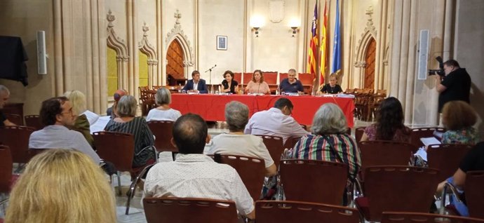 Reunión del Consejo de Servicios Sociales.